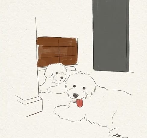 Drawing of Yuzu and Zuma resting in the hallway